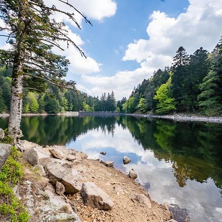 Spacieux Et Confortables Gites A Proximite Randonnees, Lacs, Ski Nature Sondernach Экстерьер фото