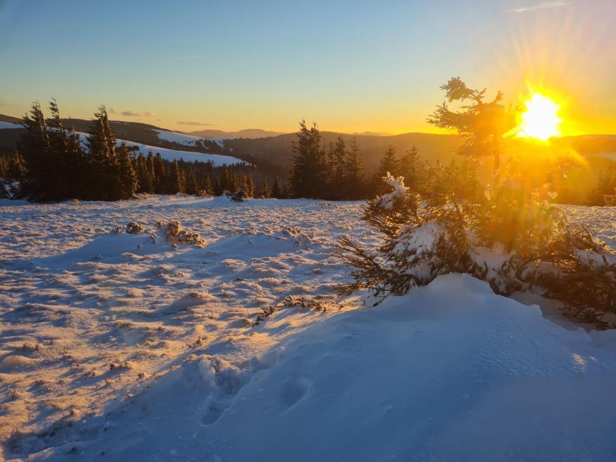 Spacieux Et Confortables Gites A Proximite Randonnees, Lacs, Ski Nature Sondernach Экстерьер фото