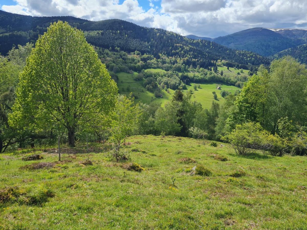 Spacieux Et Confortables Gites A Proximite Randonnees, Lacs, Ski Nature Sondernach Экстерьер фото