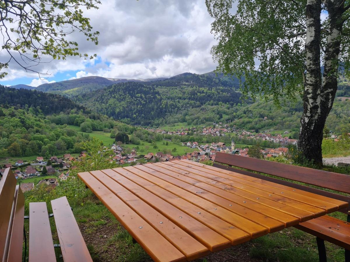 Spacieux Et Confortables Gites A Proximite Randonnees, Lacs, Ski Nature Sondernach Экстерьер фото