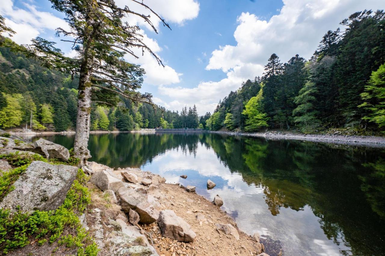 Spacieux Et Confortables Gites A Proximite Randonnees, Lacs, Ski Nature Sondernach Экстерьер фото
