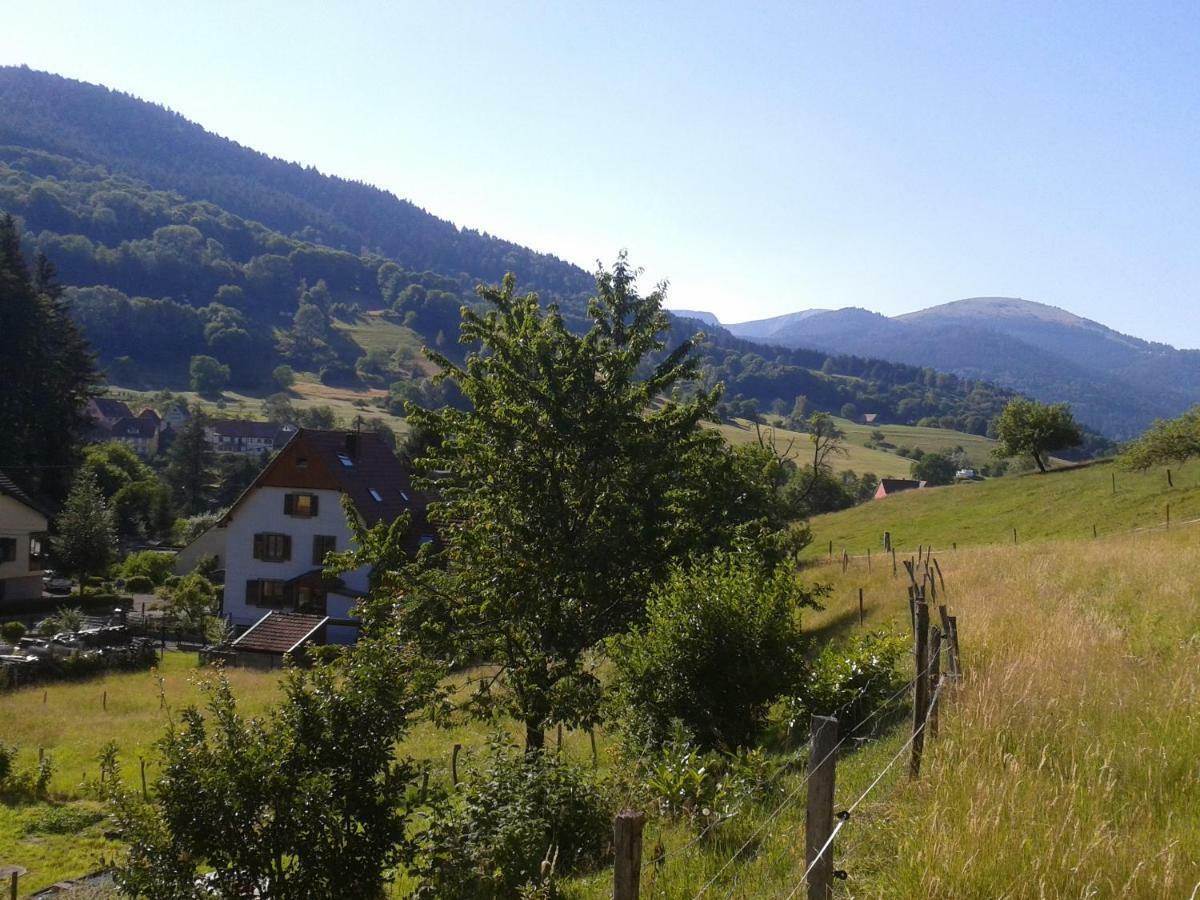 Spacieux Et Confortables Gites A Proximite Randonnees, Lacs, Ski Nature Sondernach Экстерьер фото