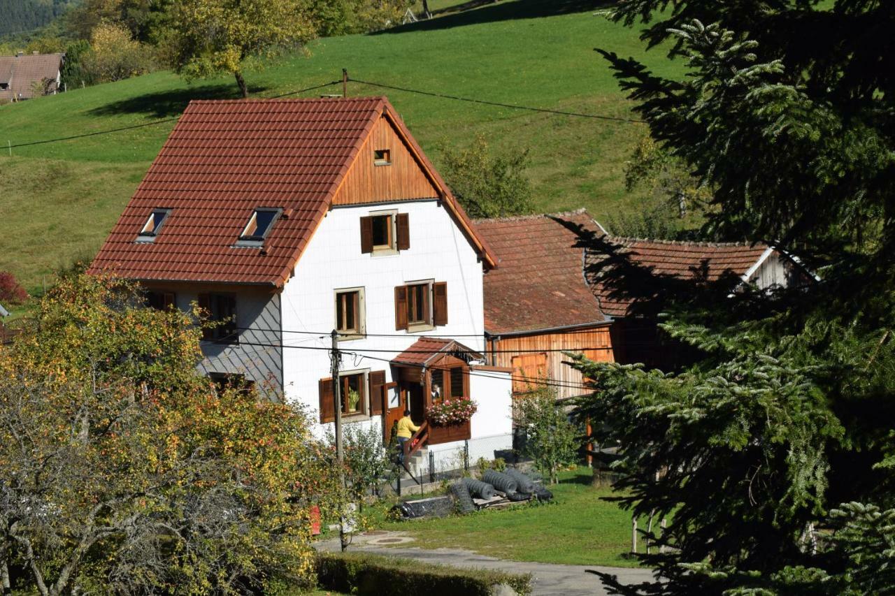 Spacieux Et Confortables Gites A Proximite Randonnees, Lacs, Ski Nature Sondernach Экстерьер фото