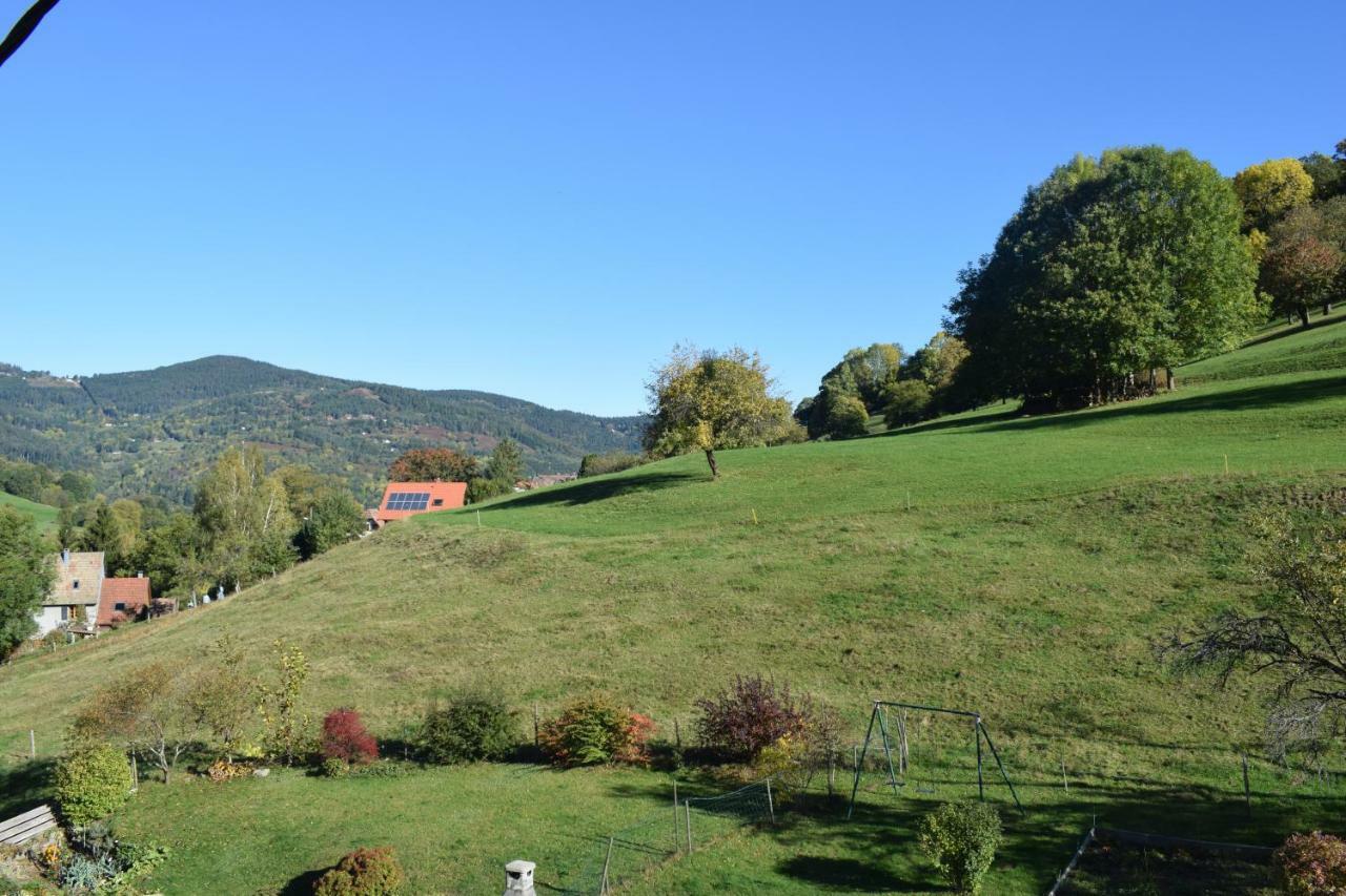 Spacieux Et Confortables Gites A Proximite Randonnees, Lacs, Ski Nature Sondernach Экстерьер фото
