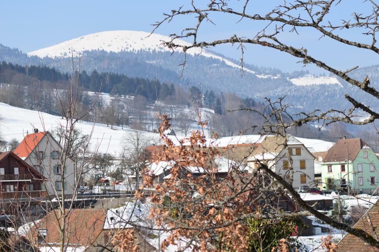 Spacieux Et Confortables Gites A Proximite Randonnees, Lacs, Ski Nature Sondernach Экстерьер фото